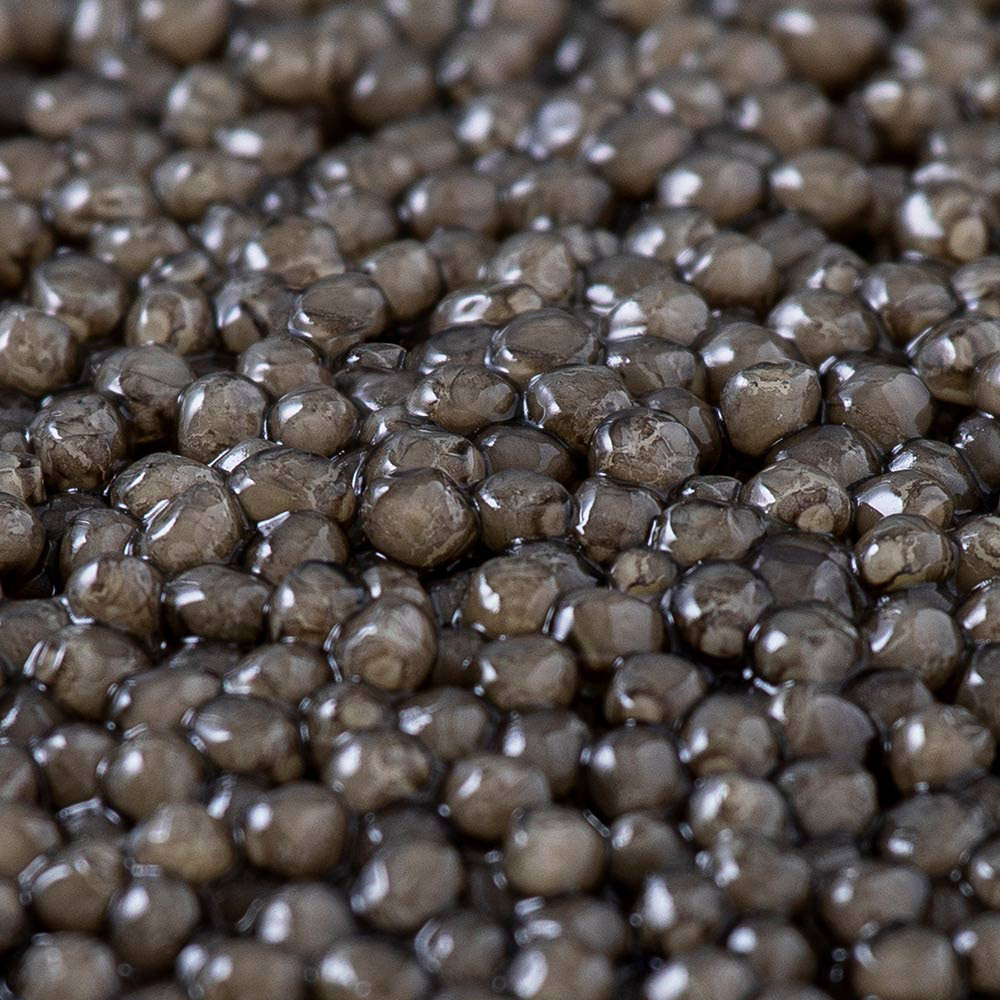 Beluga Caviar to Buy  Petrossian Switzerland