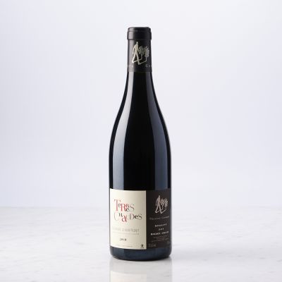 Vin rouge Saumur Champigny 2021 Domaine des Roches Neuves